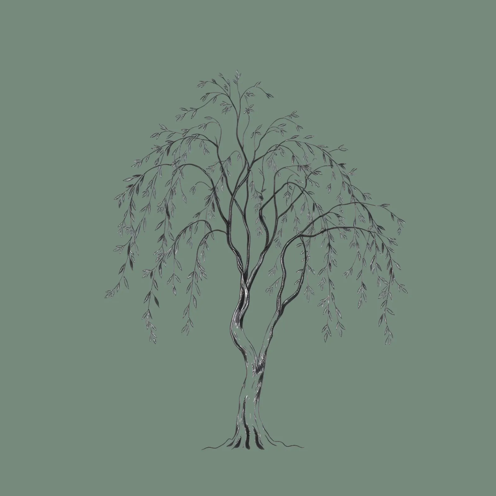 Elegante illustrazione in bianco e nero di un albero di salice pellicola backlit da DesignDoodle