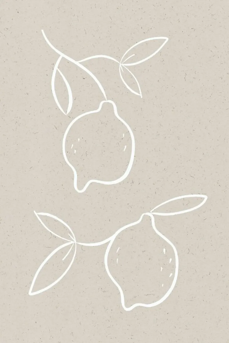 Lemon carta hahnemühle da KRUTH DESIGN