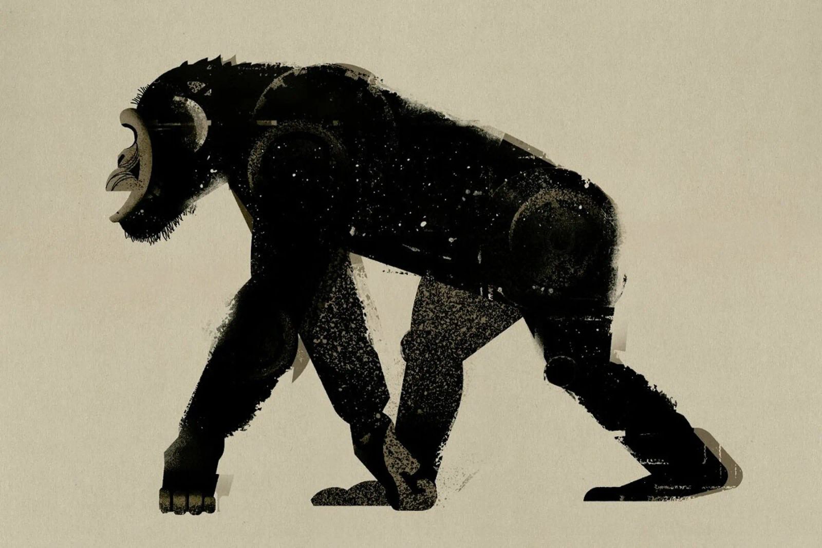 Chimp Poster von Dieter Braun