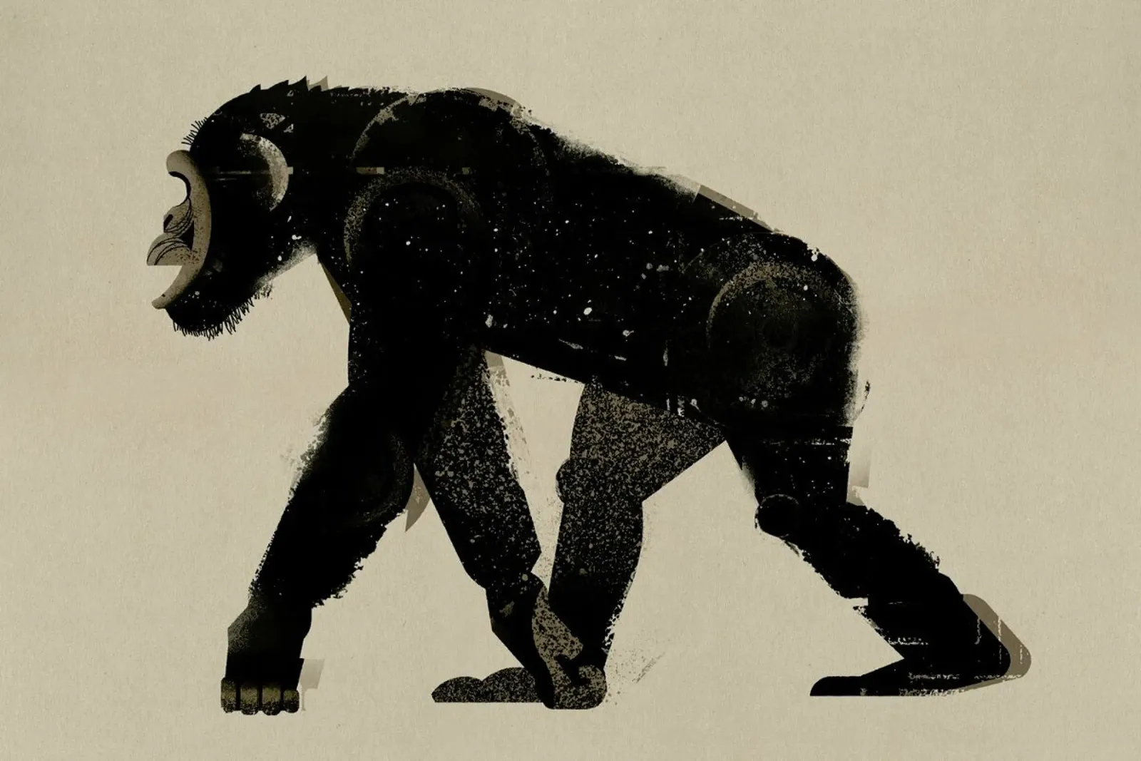 Chimp pellicola backlit da Dieter Braun