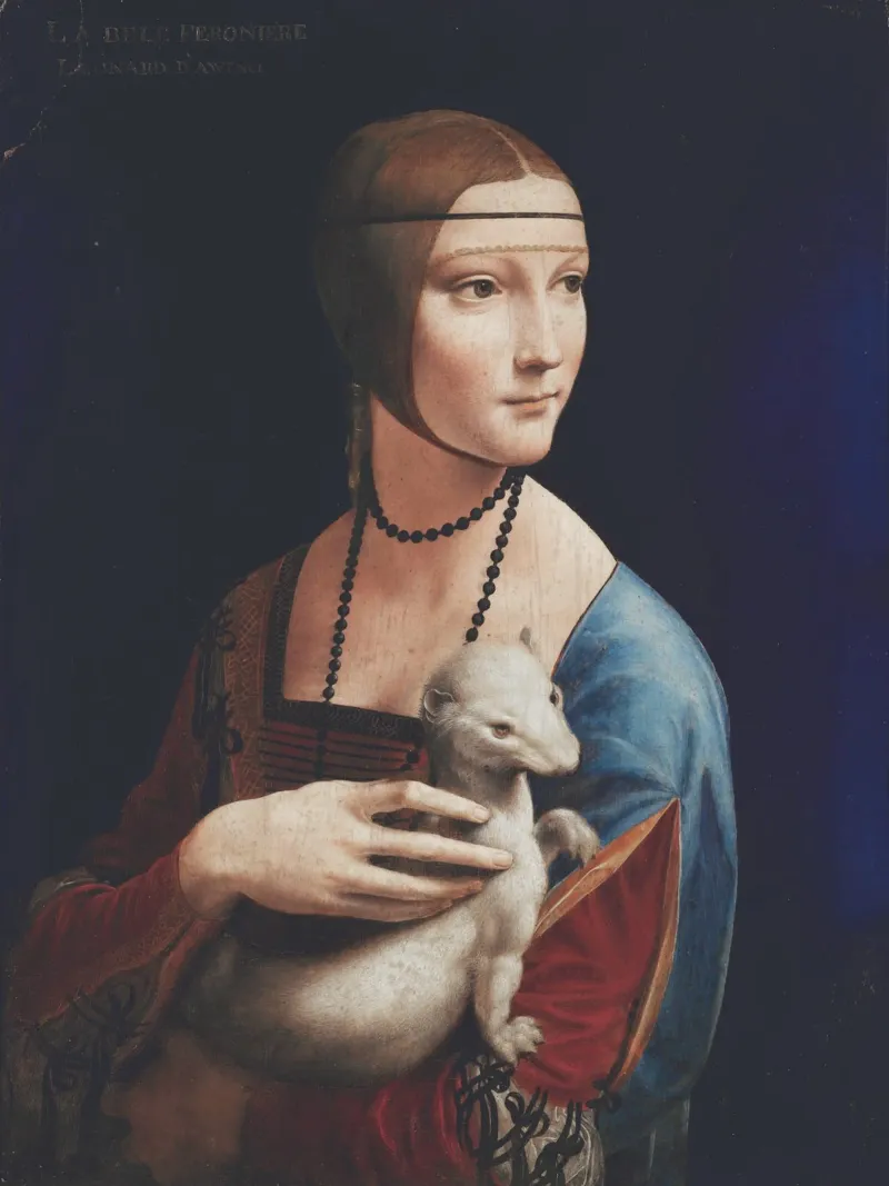 Dama con l'ermellino" di Leonardo da Vinci poster con telaio in alluminio da Venus Art