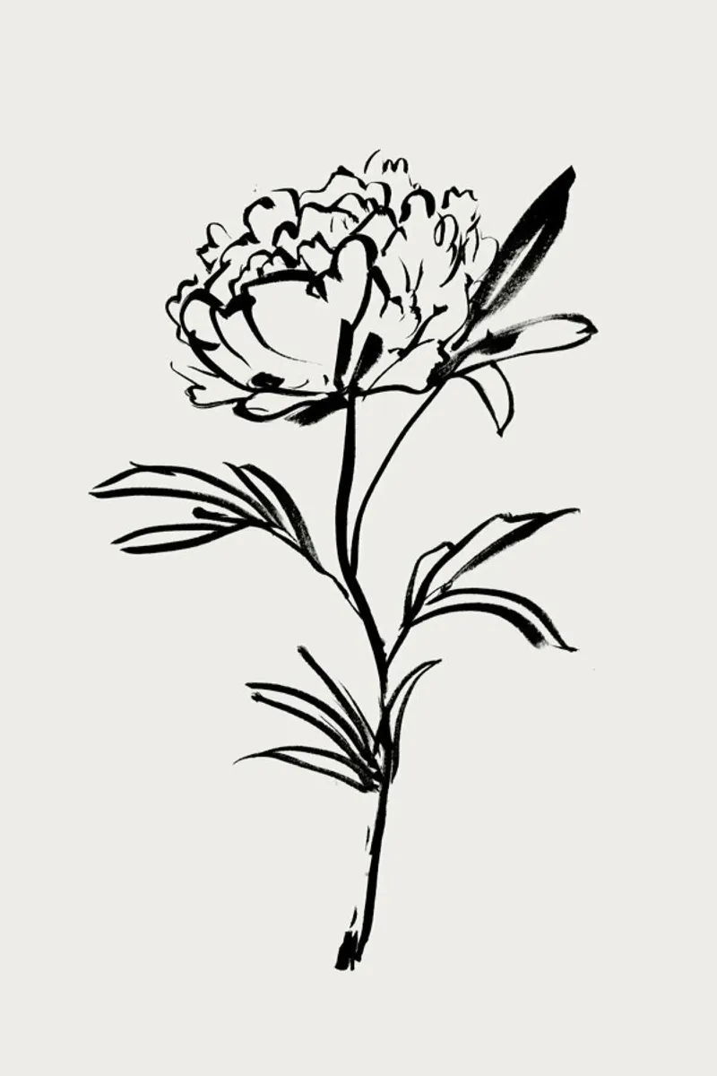 Simple Peony 2 pellicola backlit da Graphite