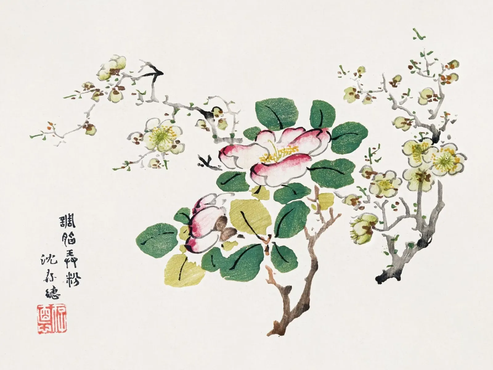 Hu Zhengyan - Shi Zhu Zhai Arte cinese d'epoca floreale pellicola backlit da ClubArt