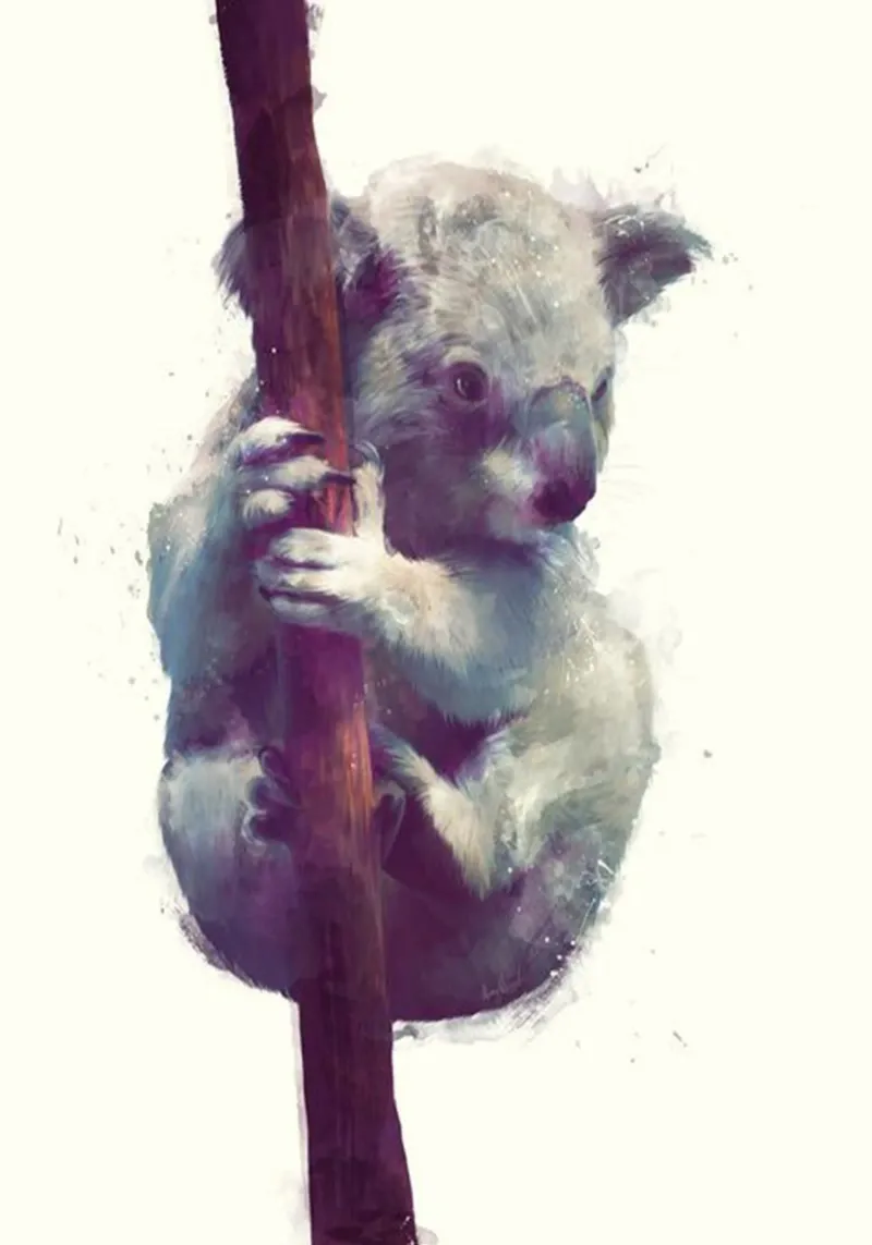 koala che stringe un eucalipto amy hamilton carta hahnemühle da kbm store