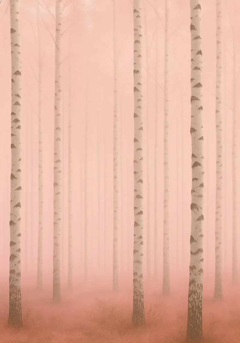 Pink Mist Birch Forest carta hahnemühle da Mosaic Dialogue