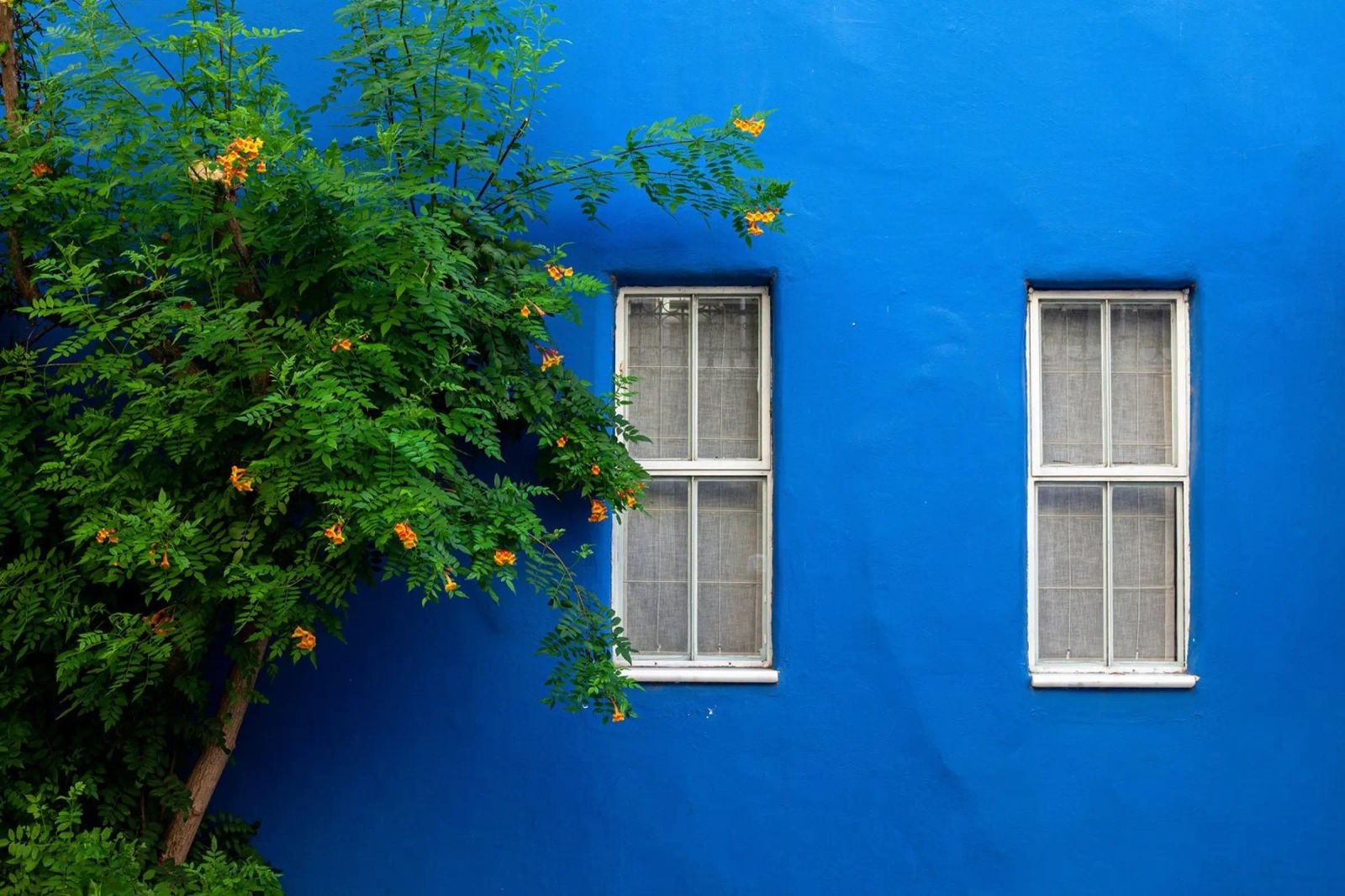 decorare in modo semplice poster da Bleu