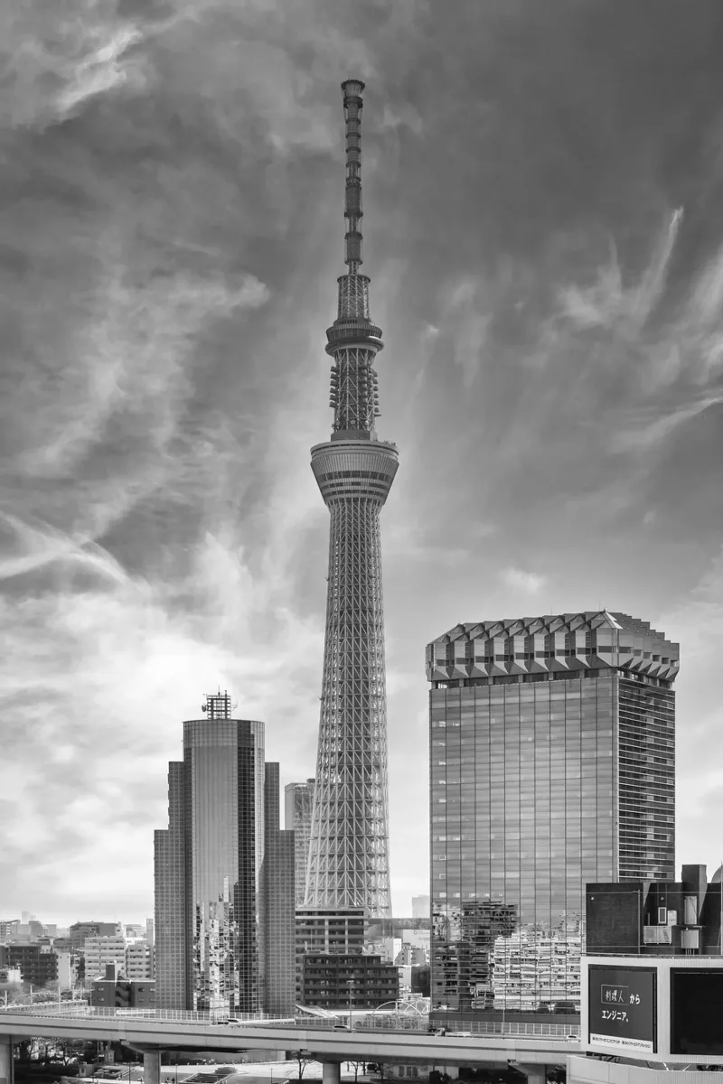 Markanter Tokyo Skytree am Sumida River | monochrom poster con telaio in plastica da Melanie Viola