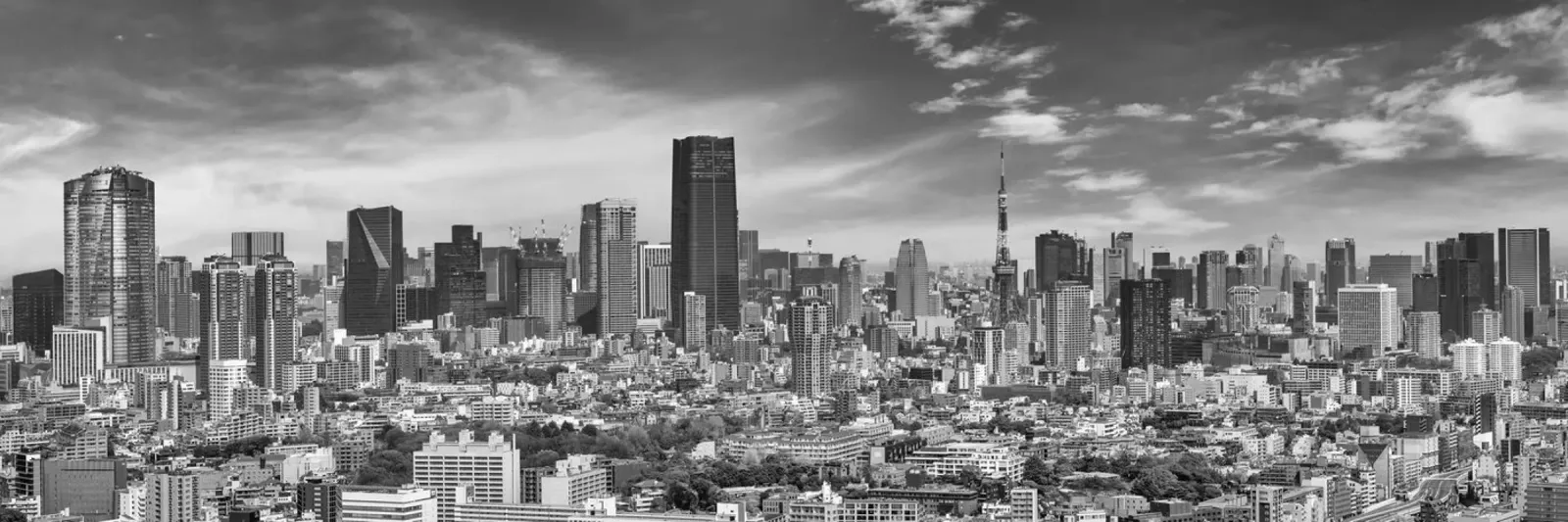 Beeindruckendes Panorama aus Tokio | monochrom Poster von Melanie Viola