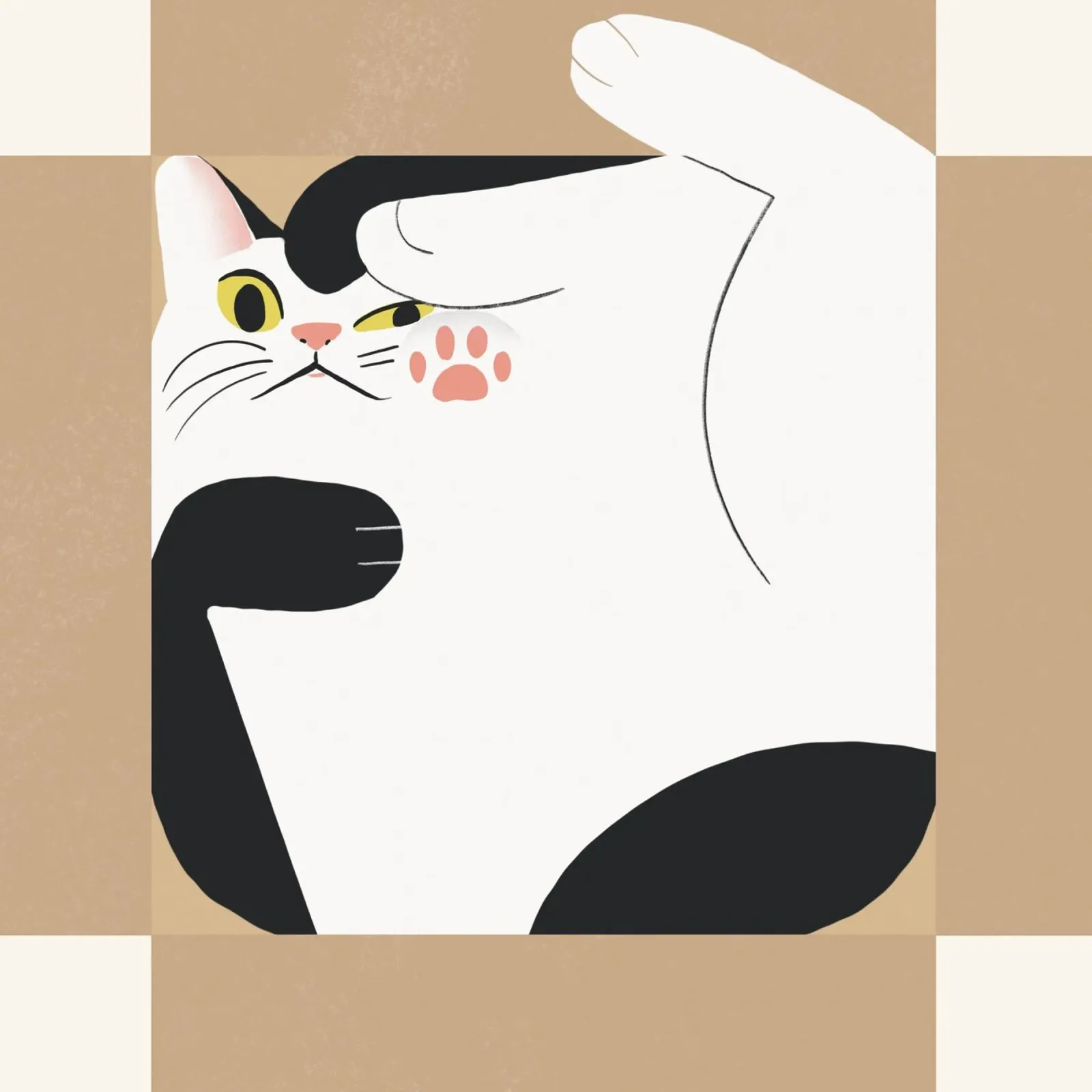 Gatto in una scatola quadrata plexiglass da Little Dean