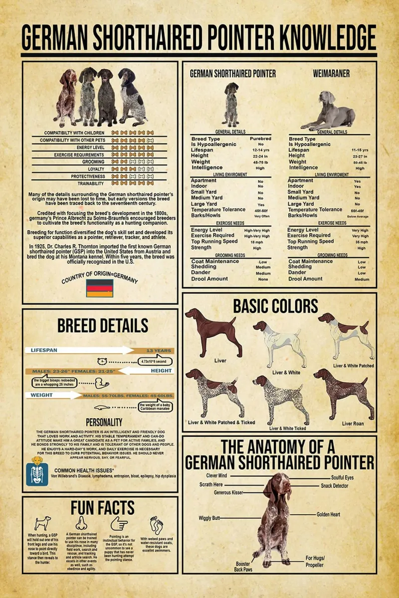 Conoscenza del Pointer Tedesco a pelo corto poster da Maritiknowled