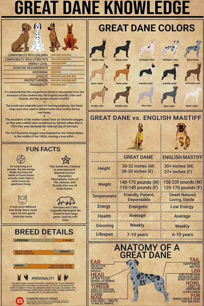 Poster sulla conoscenza dell'alano tela da Maritiknowled