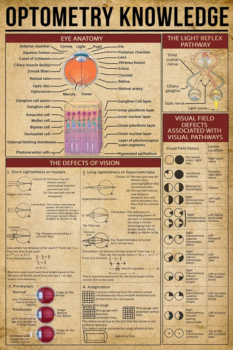 Optometry Knowledge Poster canvas by Maritiknowled