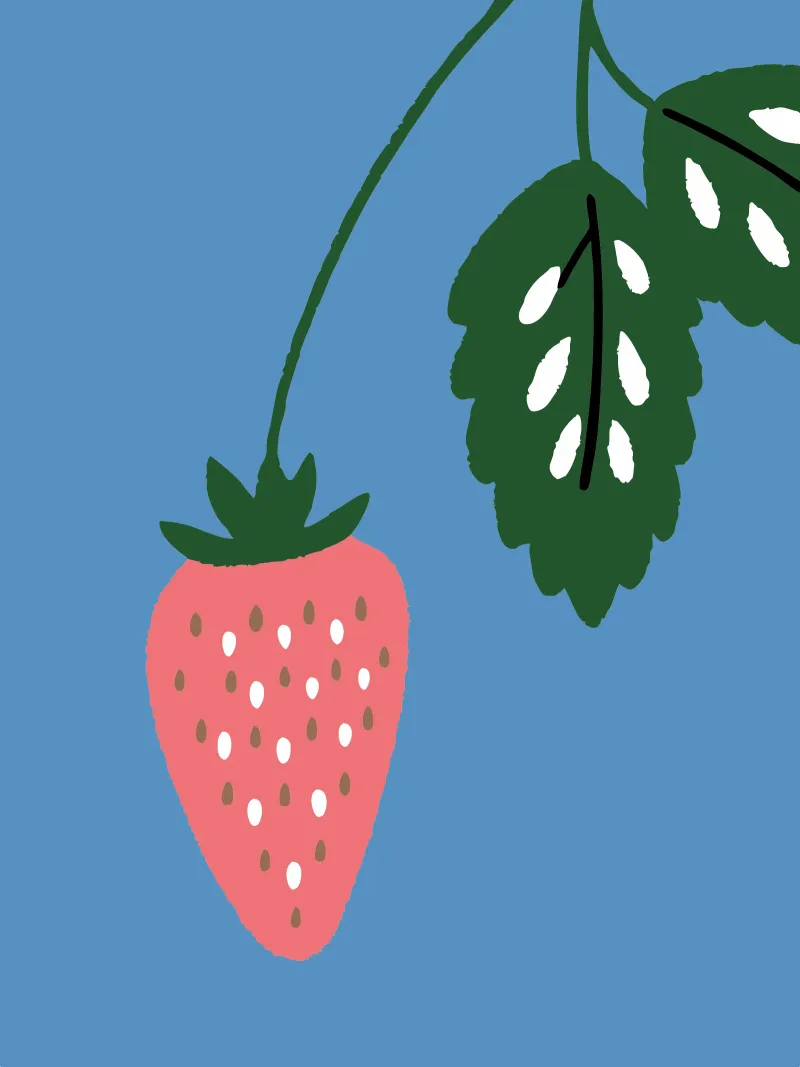 Fragole pellicola backlit da TRENDY POSTER SHOP
