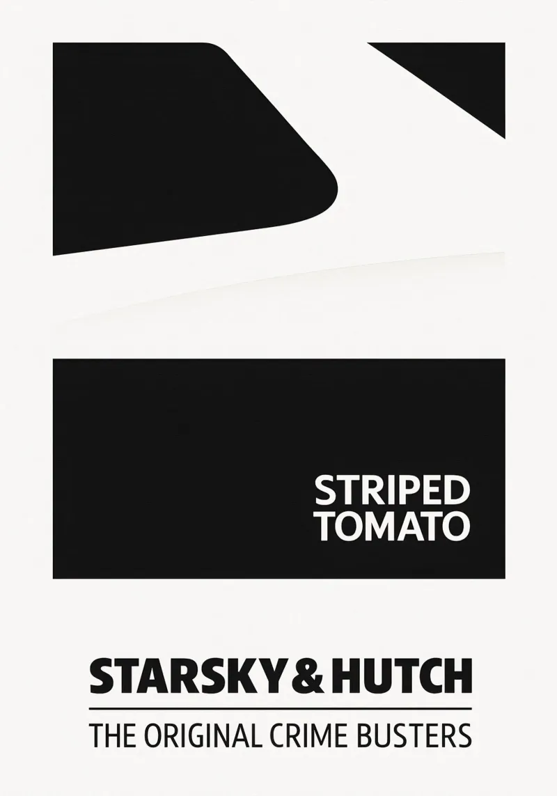 Starsky & Hutch Print pellicola backlit da MoviesArt