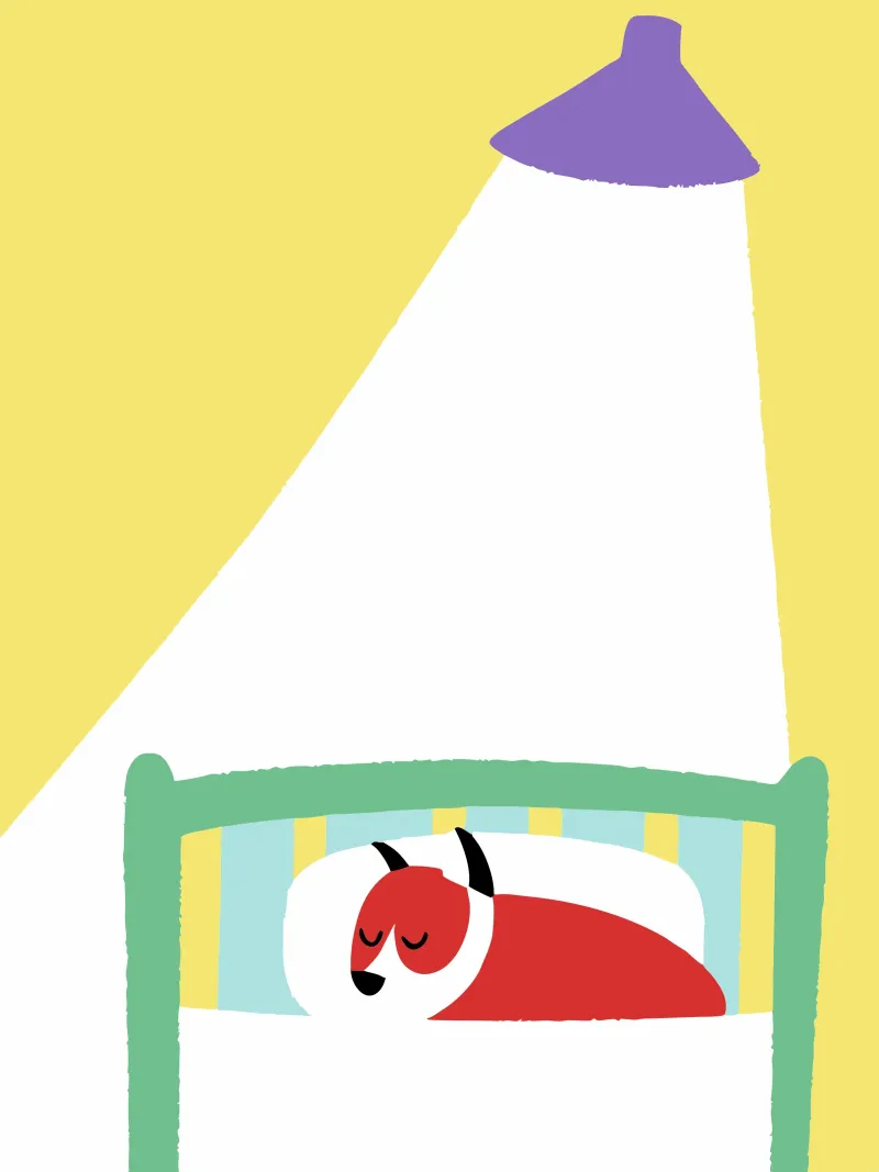 Cane che dorme pellicola backlit da TRENDY POSTER SHOP