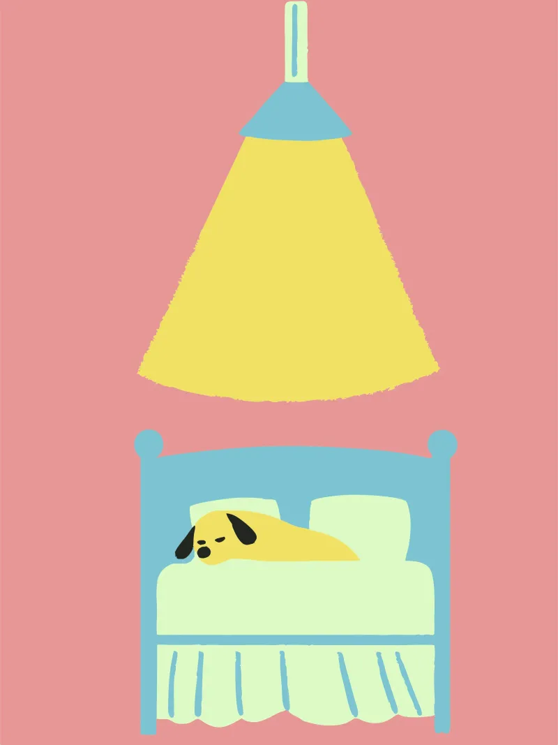 Cane che dorme pellicola backlit da TRENDY POSTER SHOP