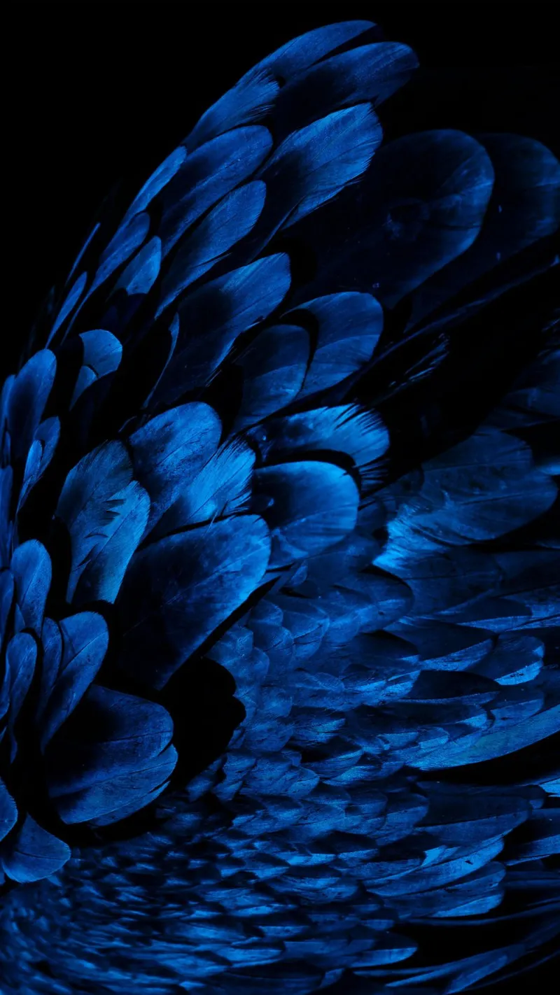 lucentezza del modello alluminio dibond da Bleu