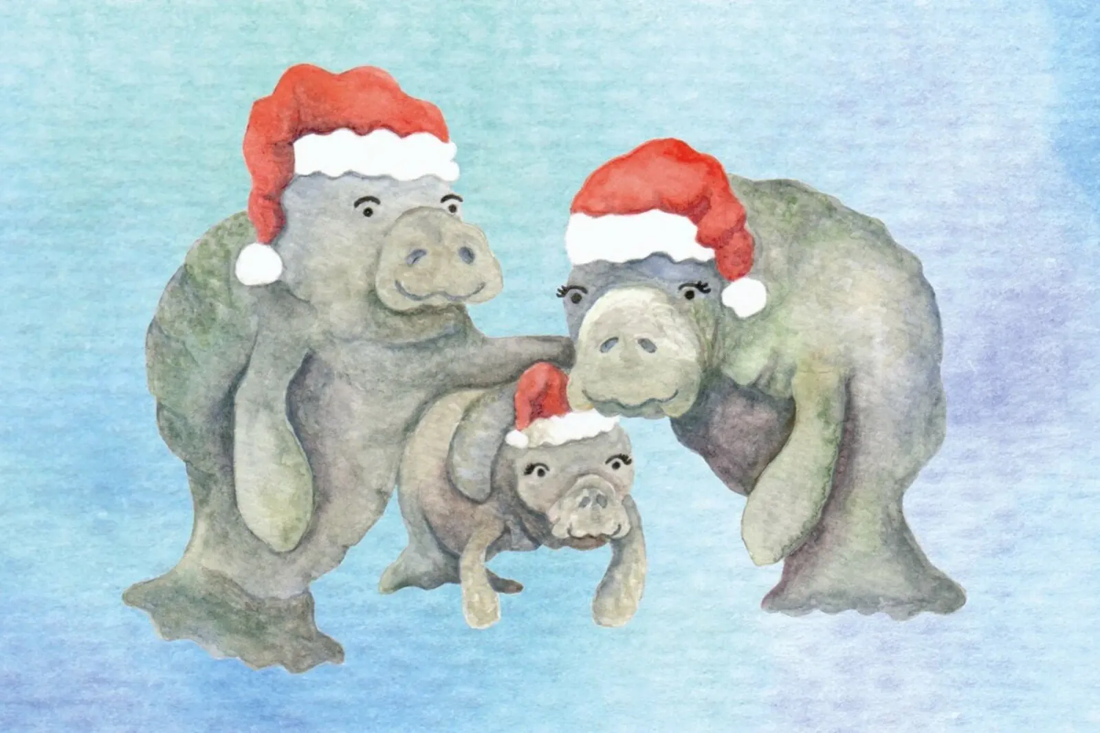 Christmas Manatees poster con telaio in plastica da KP Design
