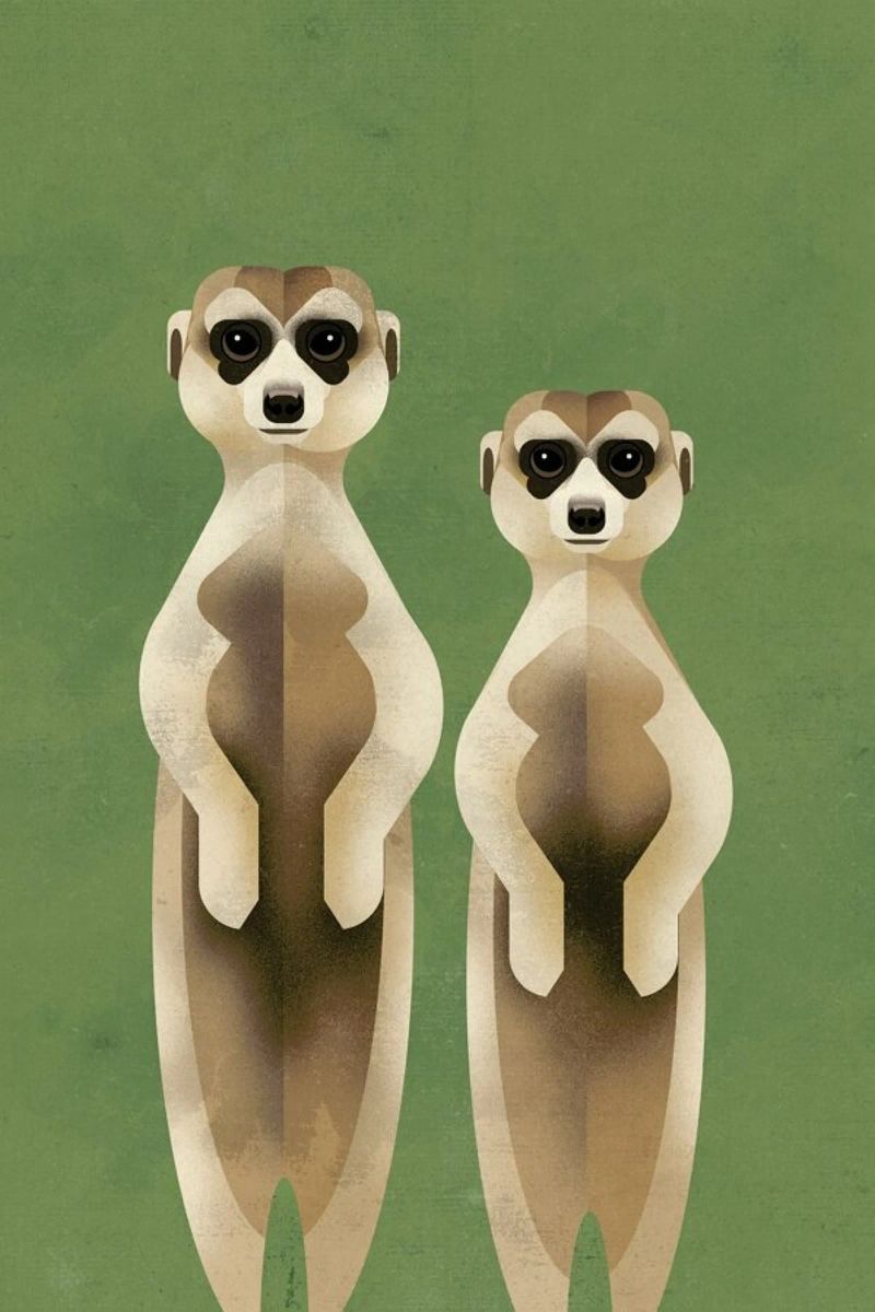 Meerkats Poster von Dieter Braun