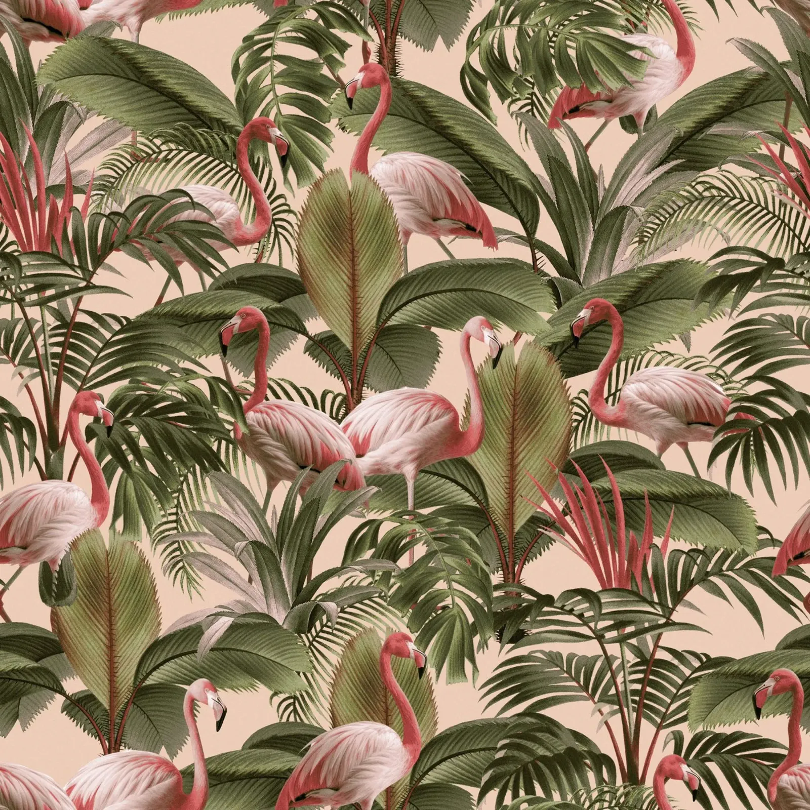 Elegance of Flamingos alluminio dibond da burcukorkmazyurek