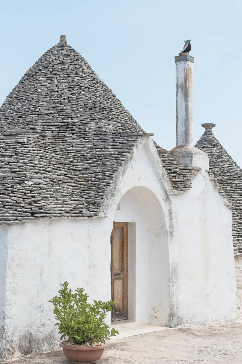 Potted plant and a trullo in Alberobello alluminio dibond da photolovers