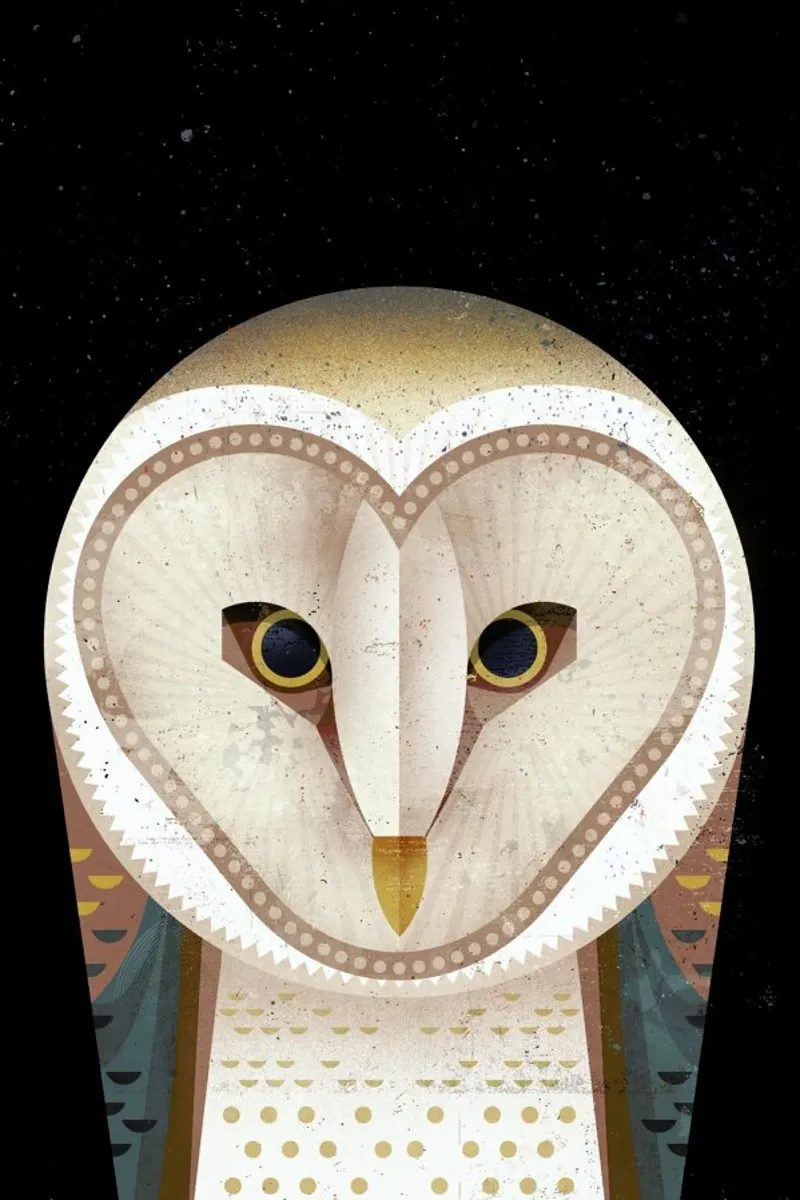 Barn Owl alluminio dibond da Dieter Braun