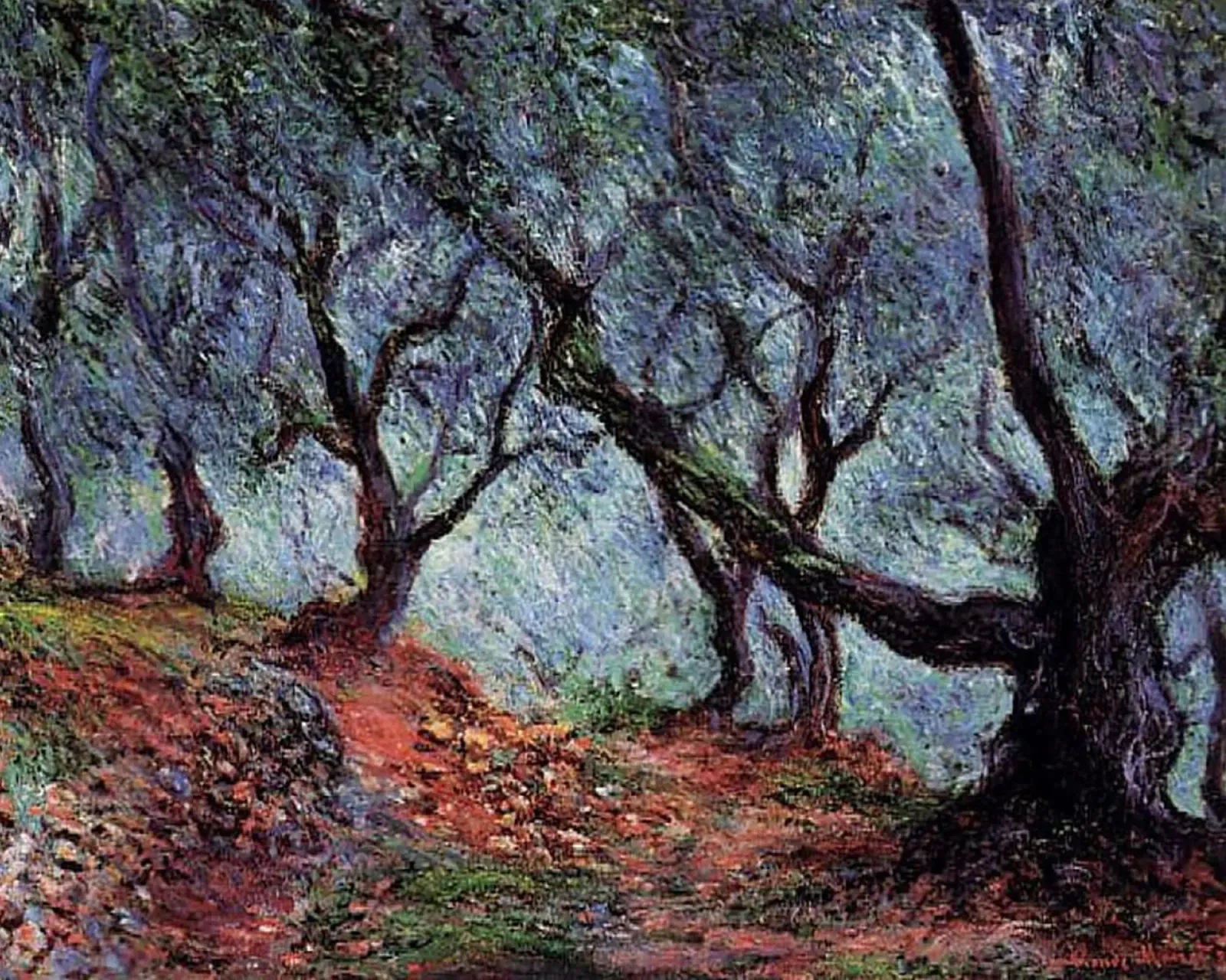 albero di rami contorti claude monet pellicola backlit da belong shop