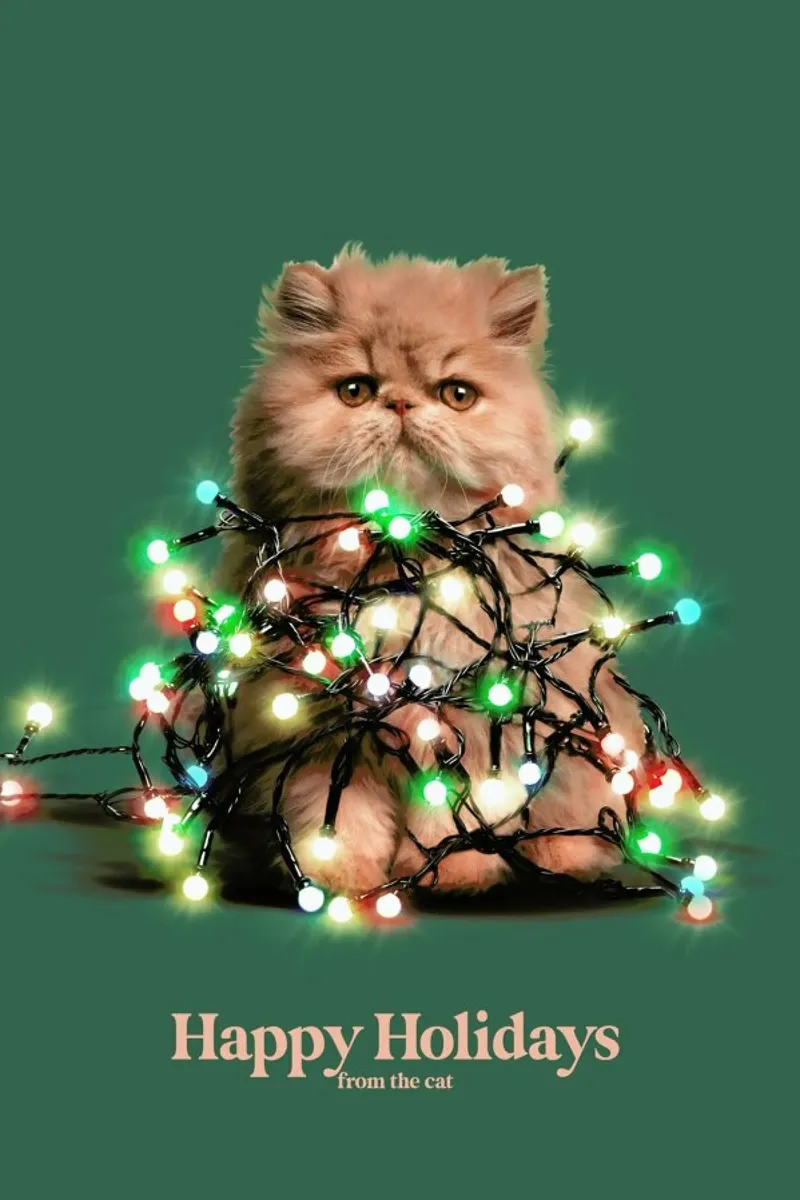 Happy Holidays From The Cat canvas with Floater frame by Jonas Loose