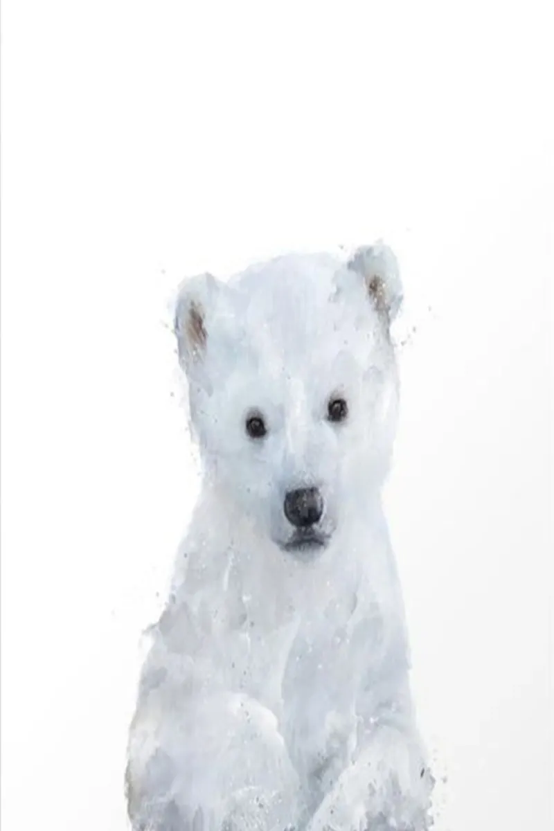 orso polare soffice e carino amy hamilton poster con telaio in legno da kbm store