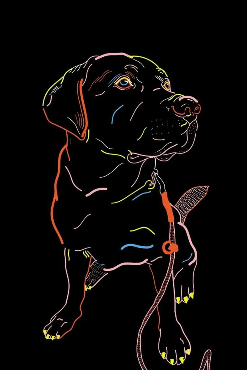 Lab Doggo plexiglass da Killin Studio