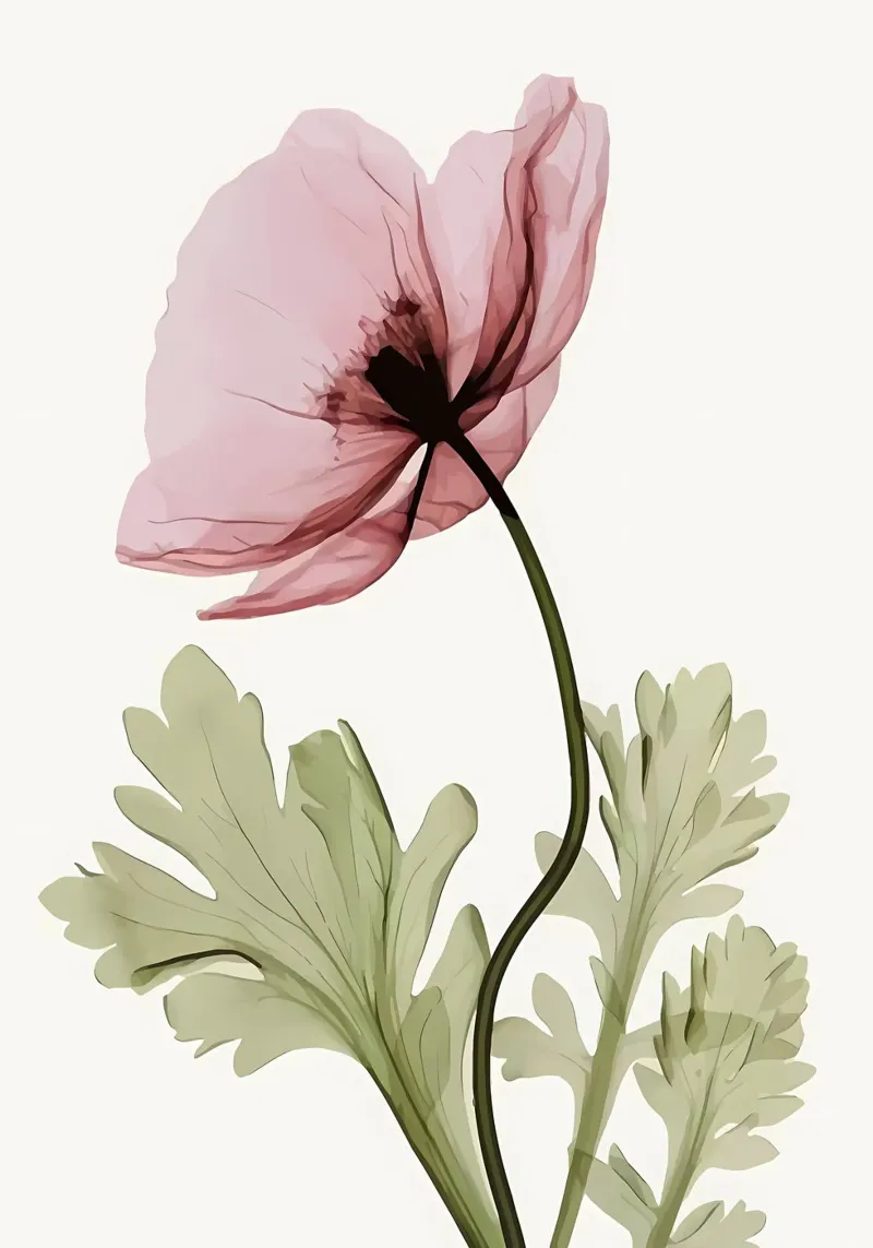 Blume Mohn rosa Blütenblätter grüne Blätter Pflanze Stamm botanisch n Poster von Ashish Kashyap