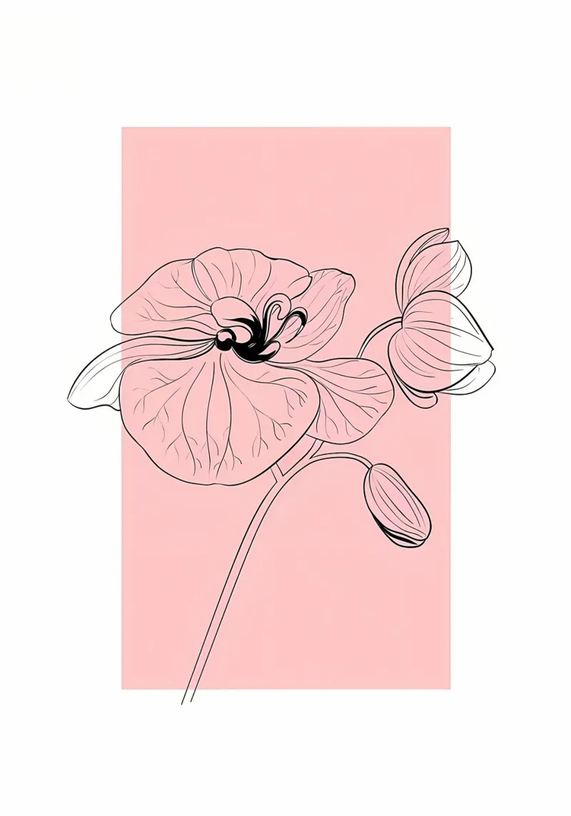 bloem orchidee bloei bloemblaadjes stengel knoppen contour botanische flora poster met aluminium frame van Ashish Kashyap