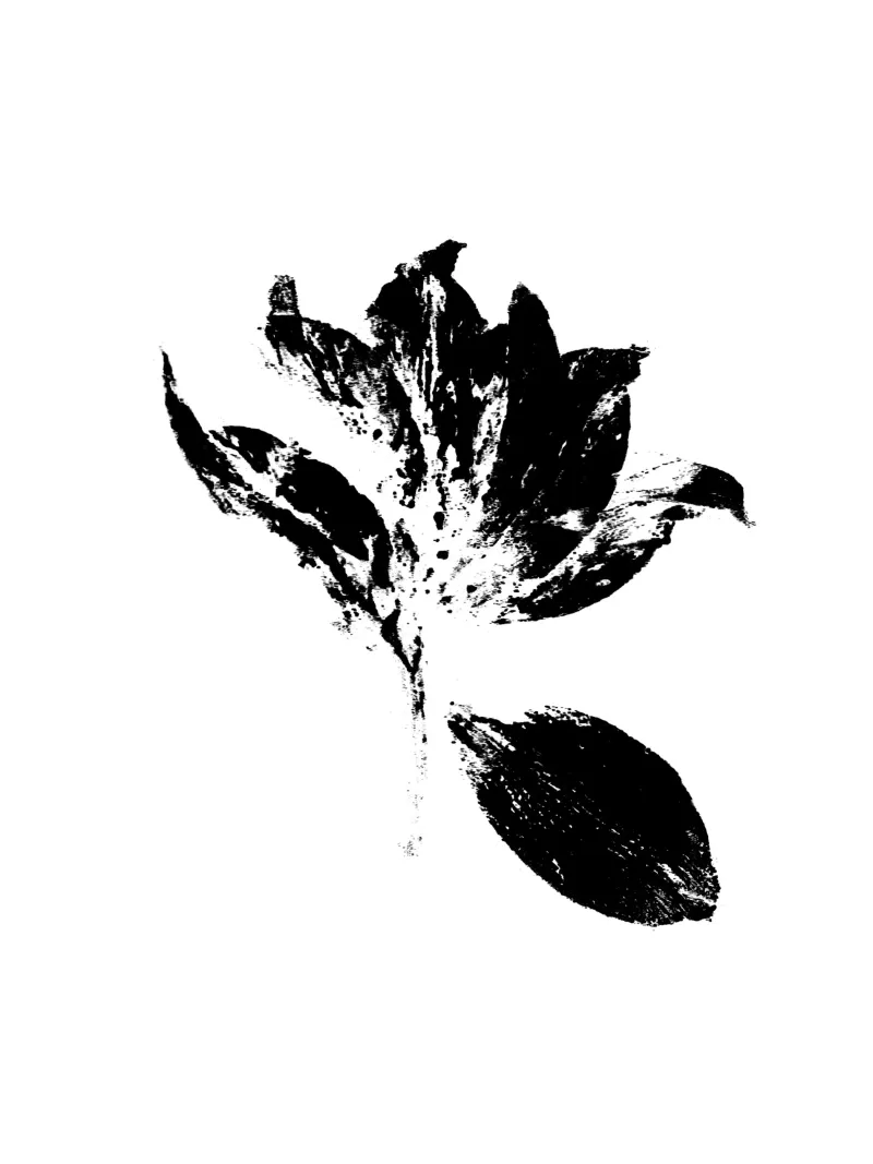 Botanical Impressions | Tulipa Drama v2 canvas by Ivona Maris