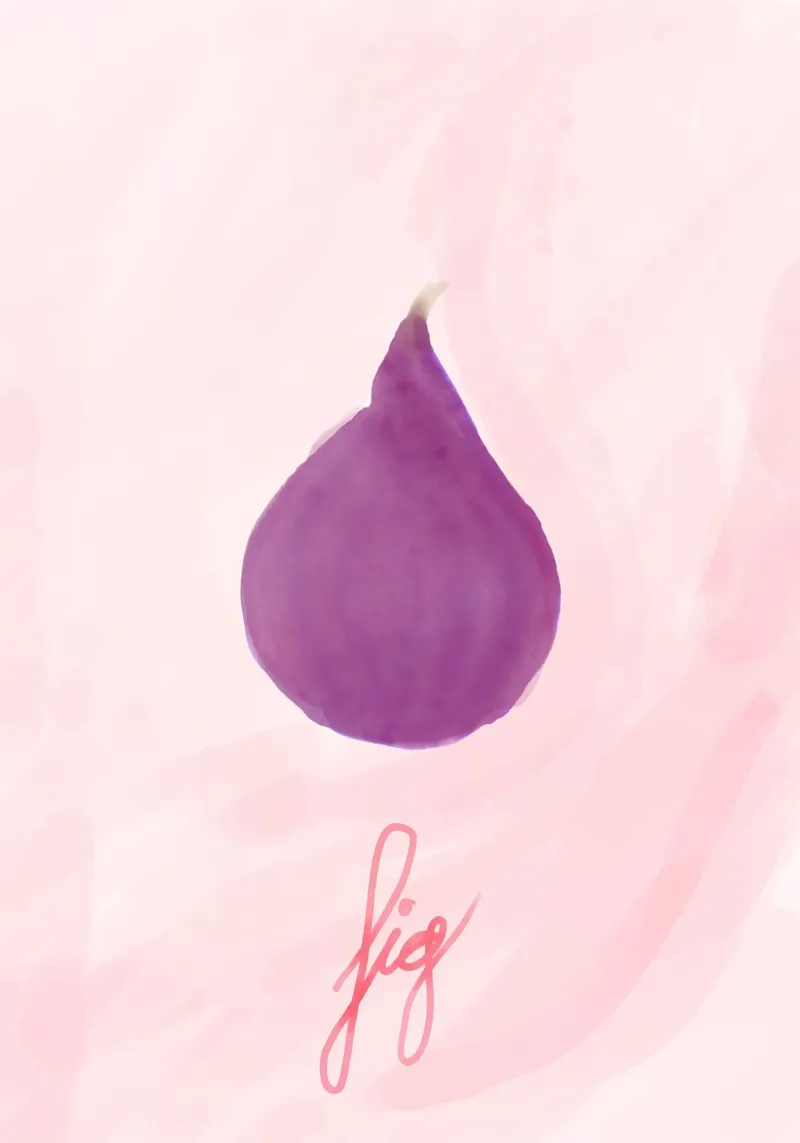 fig. Aquarelle. poster con telaio in legno da FRICKE DESIGN