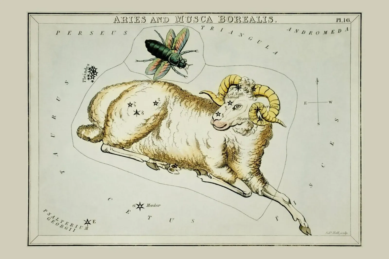 Aries pellicola backlit da Vintage by JUNIQE