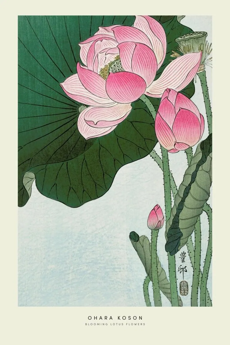 Koson - Lotus Flower carta hahnemühle da Vintage by JUNIQE