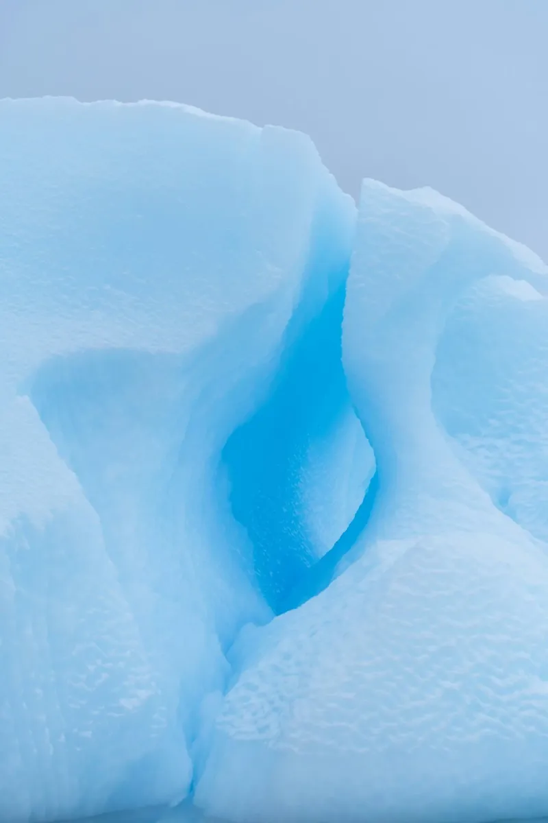 iceberg pellicola backlit da Bleu