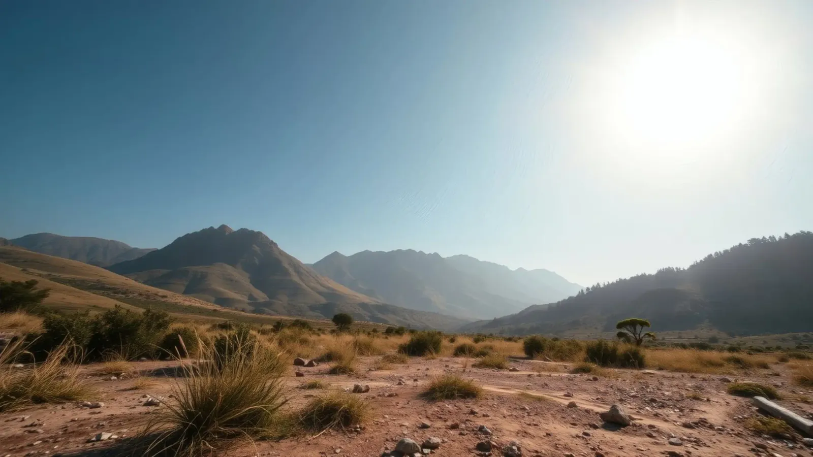 Expansive landscape view of rugged mountains & golden grass hahnemühle by DesignDoodle