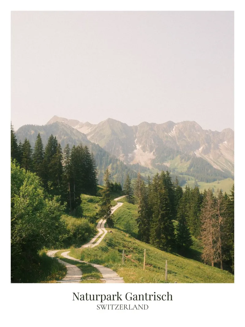Gantrisch: Switzerland pellicola backlit da FujiFrames