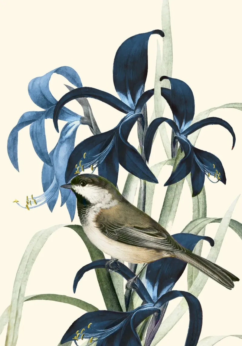 Little Bird and Flowers 2 pellicola backlit da Nadjaa