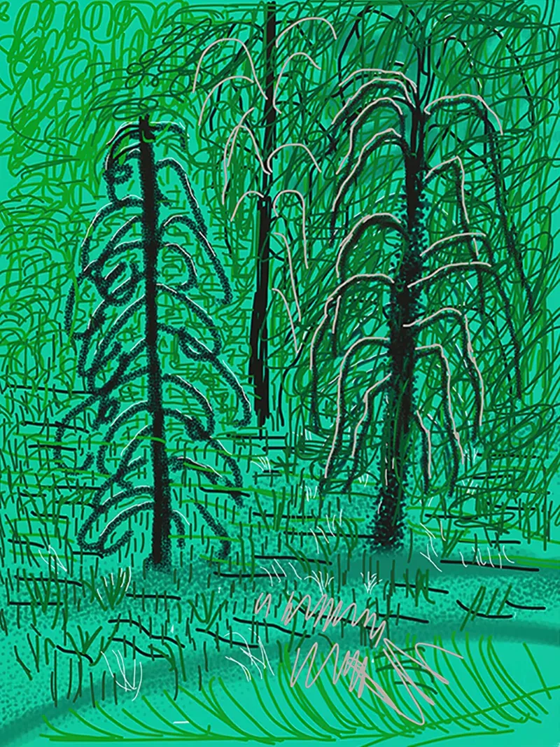 Untitled No 16 from The Yosemite Suite canvas by khanrosie