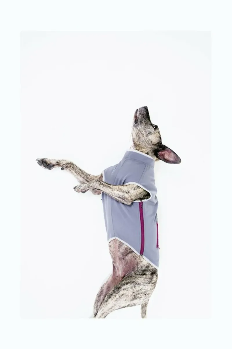 The Tailwaggers 7-2 carta hahnemühle da Paul Aidan Perry