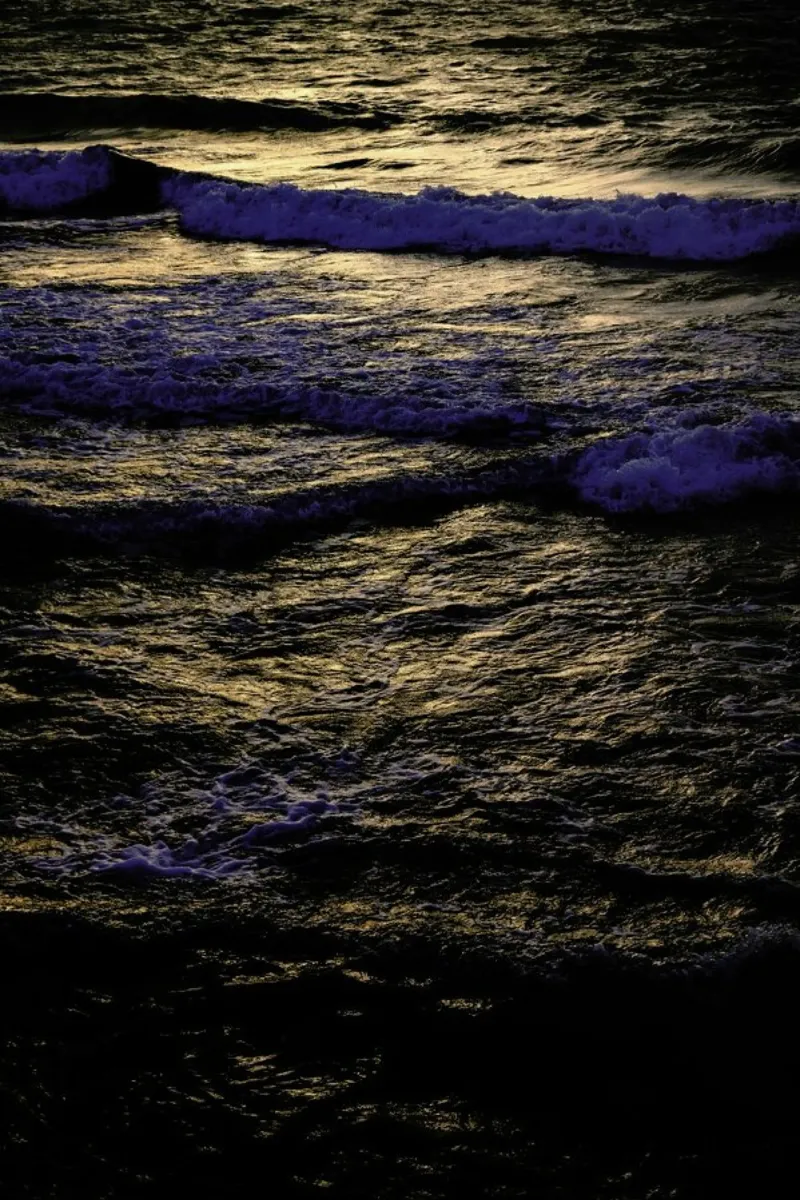 Seaside #39 pellicola backlit da Tal Paz-Fridman