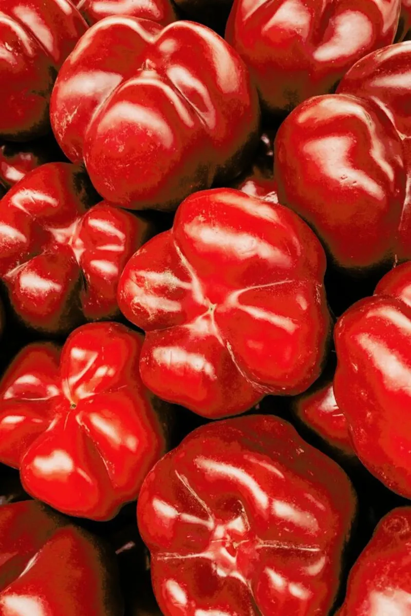 Paprika Love alu-dibond by Sebastian Hilgetag