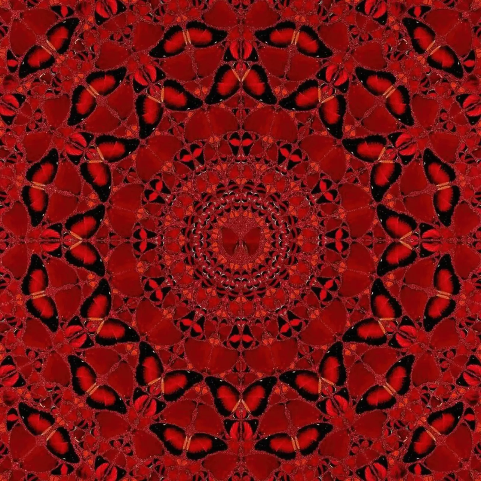 Damien Hirst Circle Fanescuros poster by Romeyoprints