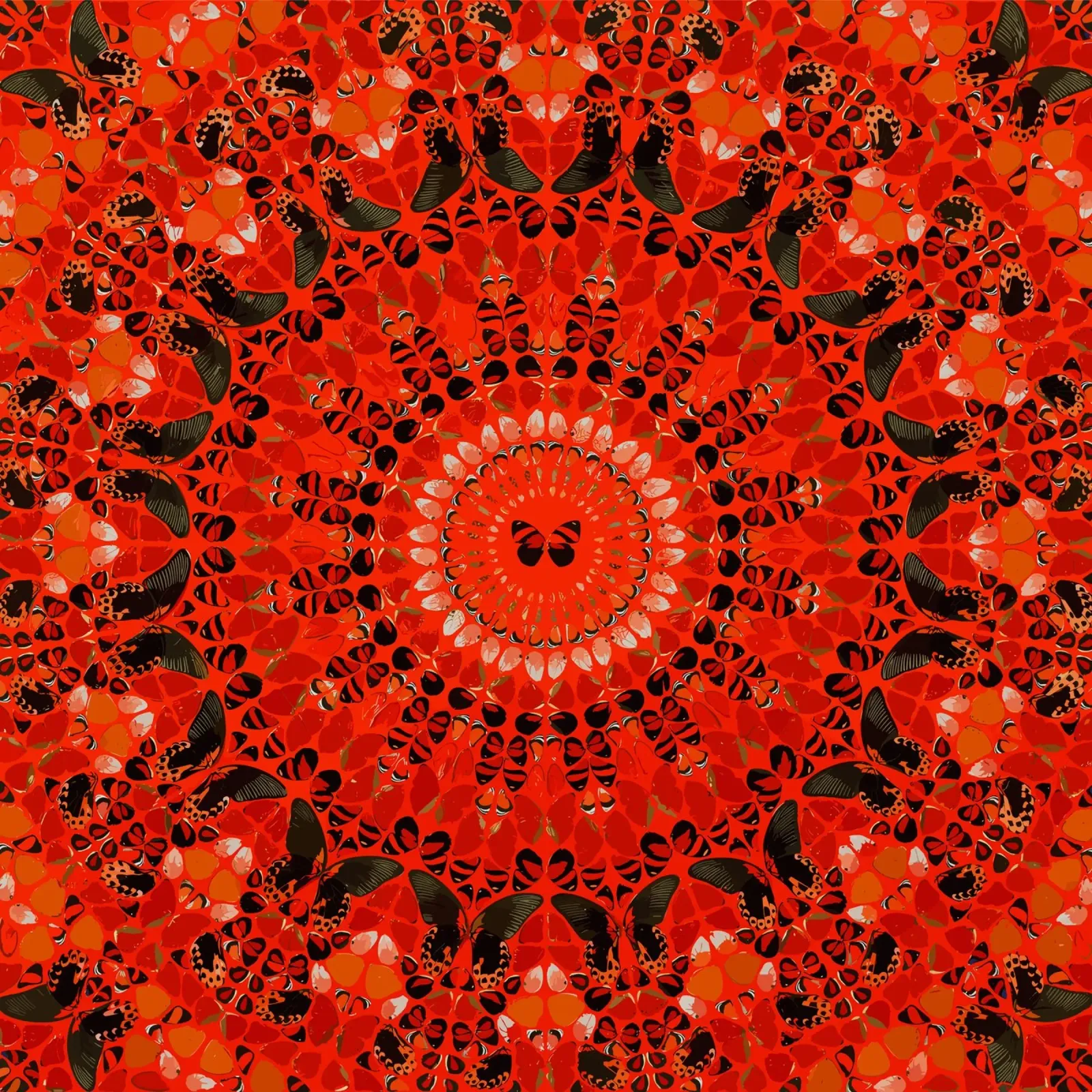 Damien Hirst Kreis Schmetterling Hahnemühle von Romeyoprints