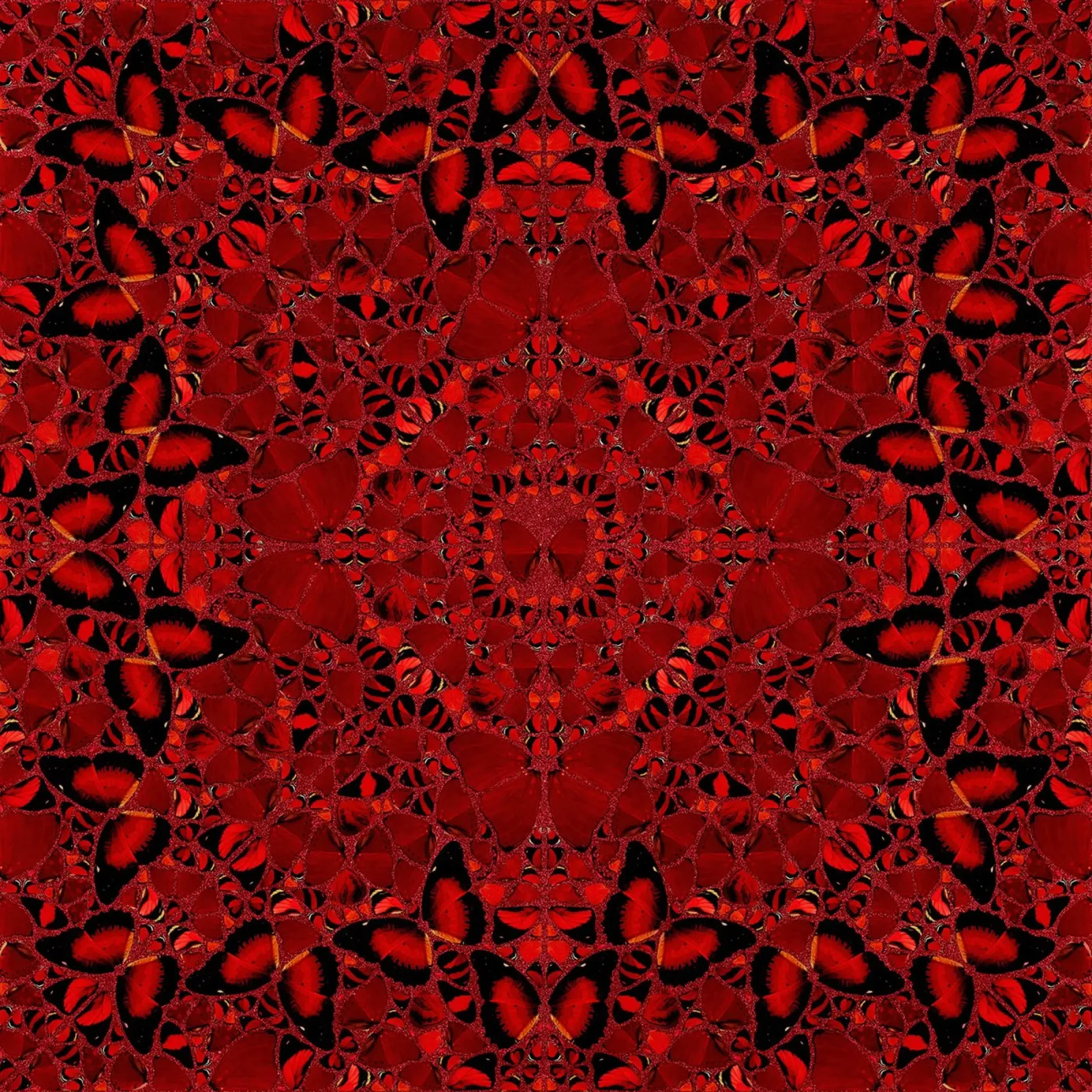 Damien Hirst Stars Butterfly Hahnemühle von Romeyoprints