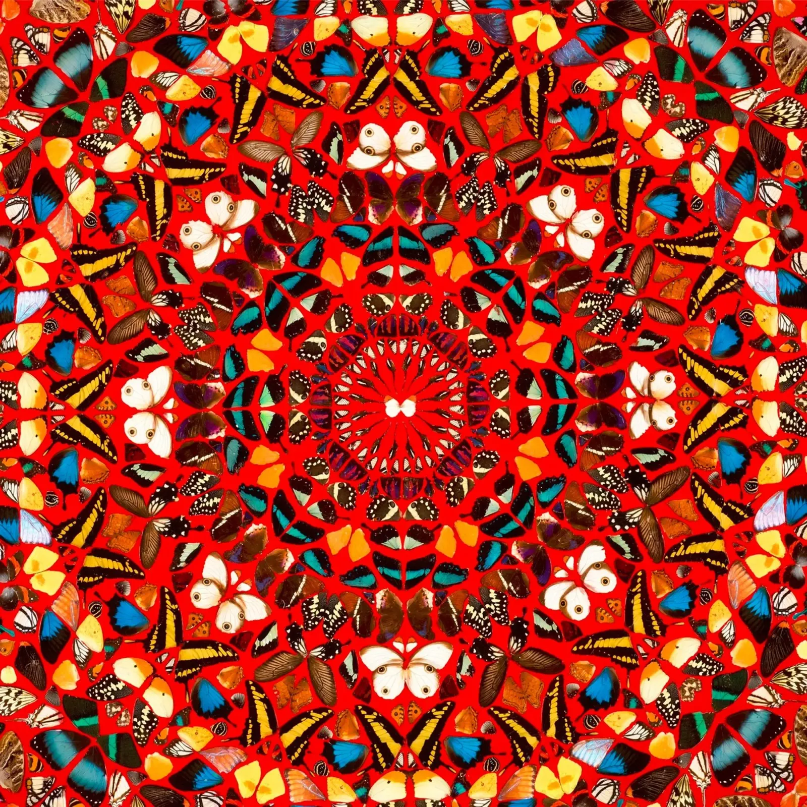 Damien Hirst La voz humana lámina retroiluminada de Romeyoprints
