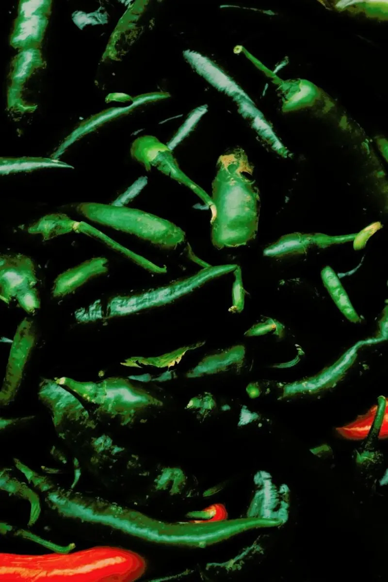 Green And Red Peperoni hahnemühle de Sebastian Hilgetag