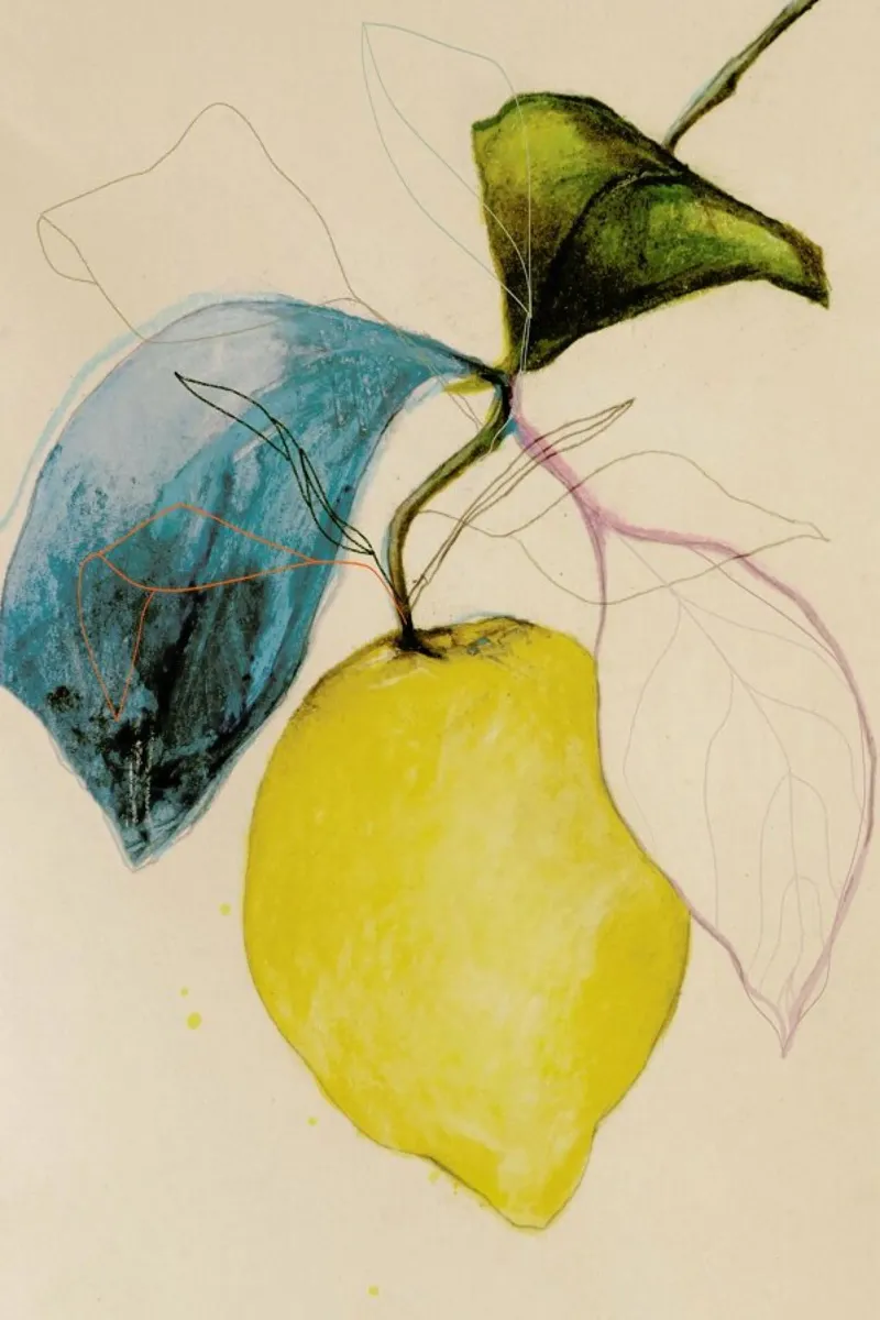 Lemonstudy 04 pellicola backlit da Leigh Viner
